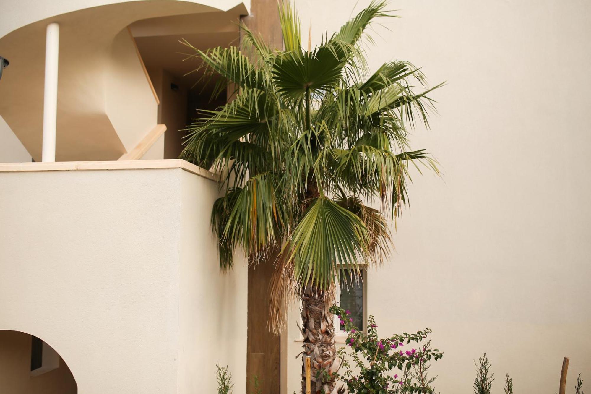 Modern Flat With Montgo View Apartment Denia Bagian luar foto